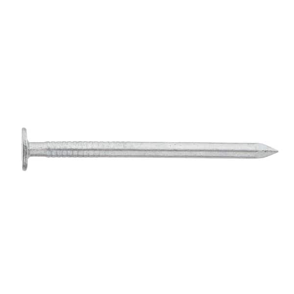 Ace 4D 1-1/2 in. Common Hot-Dipped Galvanized Steel Nail Flat Head 1 lb Ace 4D 1-1/2 in. Common Hot-Dipped Galvanized Steel Nail Flat Head 1 lb