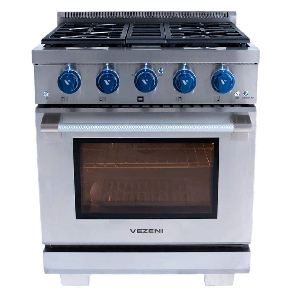 Randolph Pro 30 in. 4 Burners Freestanding Natural Gas Range in Stainless Steel with Blue Knobs price history on PriceWatchPro