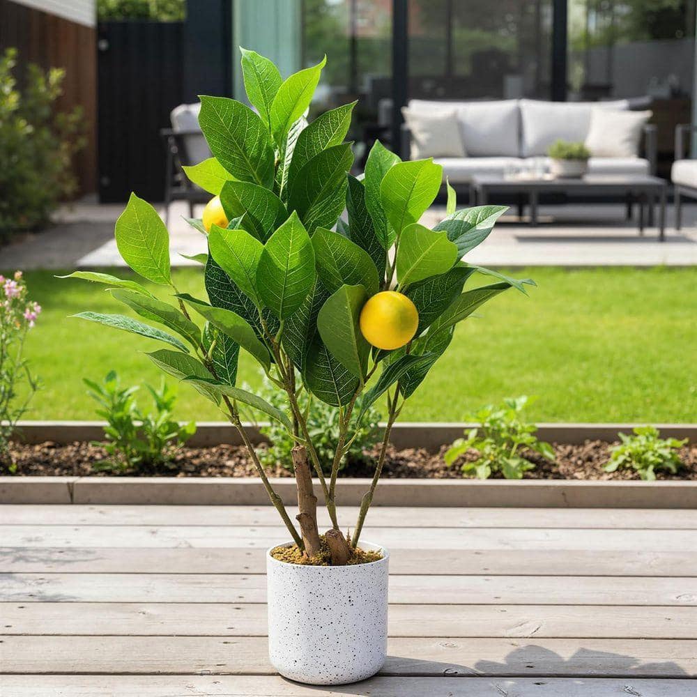 MOVECOM 1.6FT 2Pcs Artificial Lemon Trees with White Pot, Faux