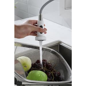 Single Handle Pull Out Sprayer Kitchen Faucet in White Stainless Steel Deckplate Included