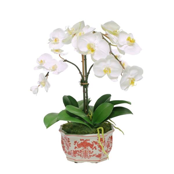 Jane Seymour Botanicals 19 in. Orchid in Longlife Planter