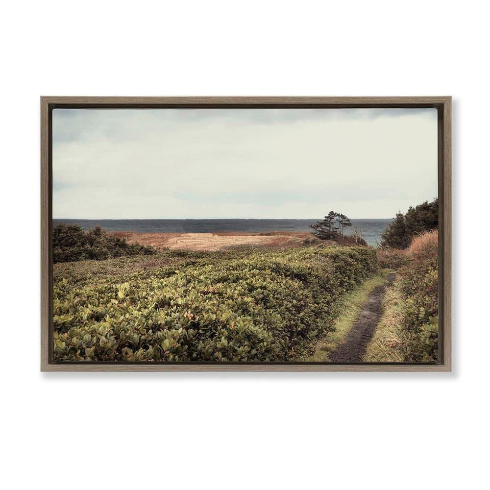 Serene Coastal Pathway by Andy Amos Brown Floater Frame Nature Graphic Art Print 21 in. x 31 in. price history on PriceWatchPro