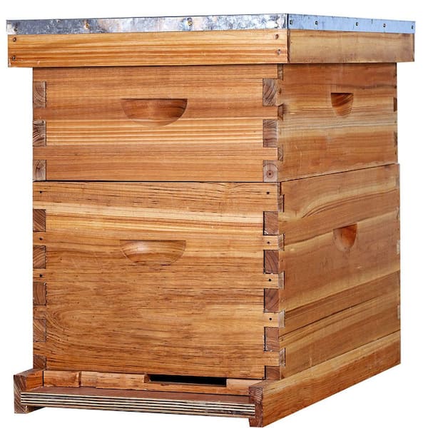 10-Frame Beehive Kit 100% Beeswax Coated Cedarwood Durable Waterproof Beehive with Frames Foundation Sheet 2-Layer