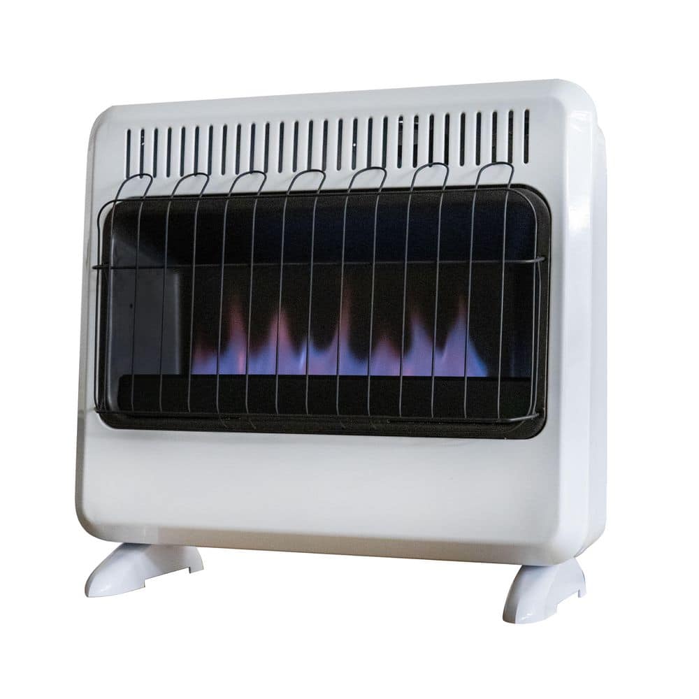 Have a question about Heater 30,000 BTU Vent Free Blue Flame