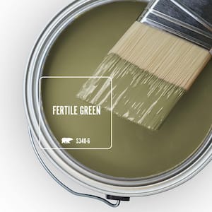 S340-6 Fertile Green Paint