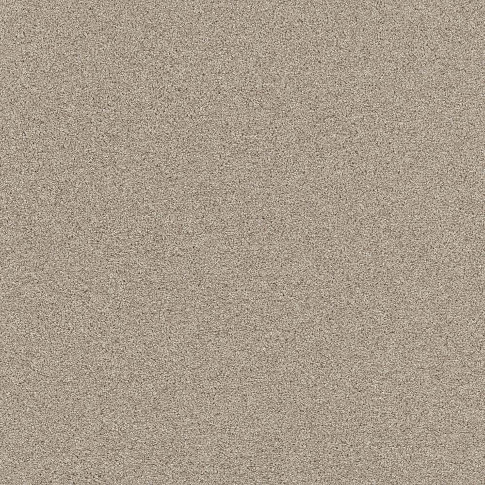 8 in. x 8 in. Texture Carpet Sample - Vacation - Color Pale Oak price history on PriceWatchPro