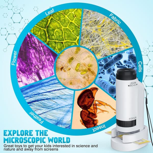 SenQWFa Portable Microscope Zoom 60x-180x Handheld Mini Microscope