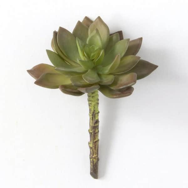 SULLIVANS 5.5" Artificial Green Echeveria Succulent Pick