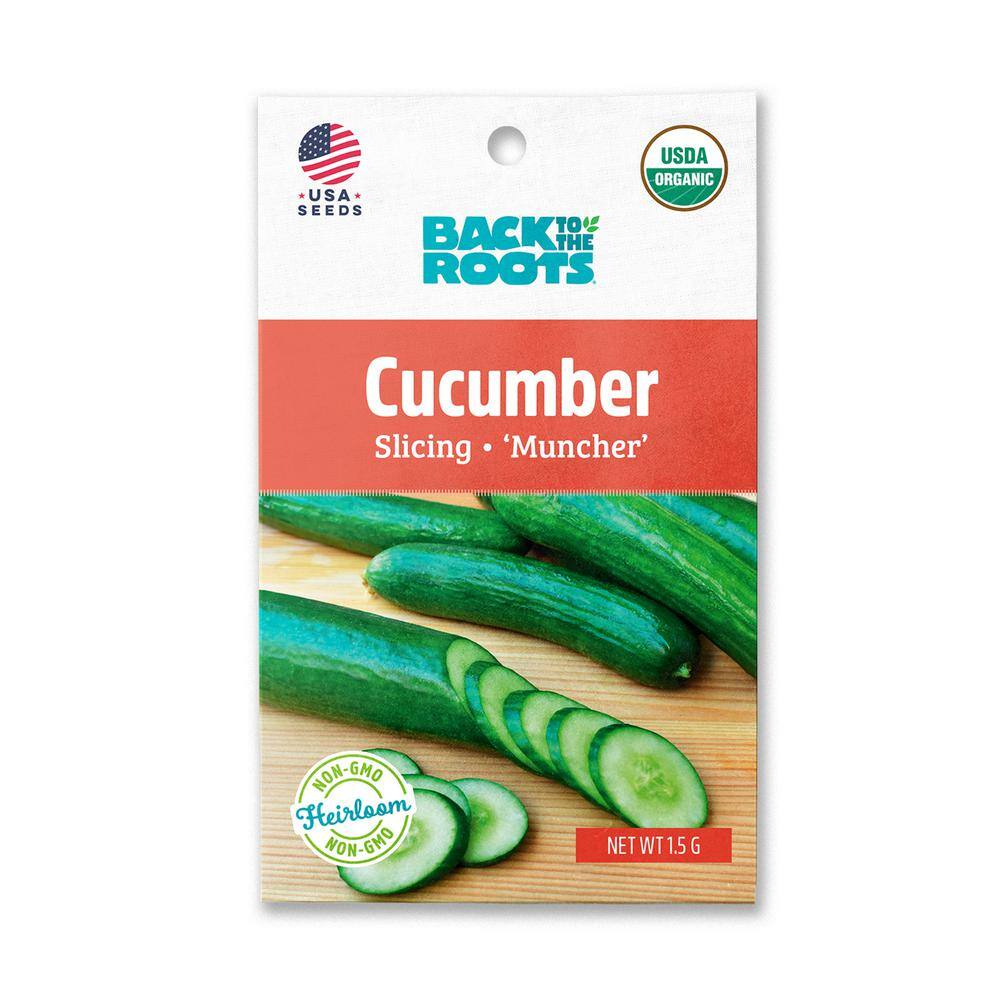 50 Muncher CUCUMBERS Seeds 