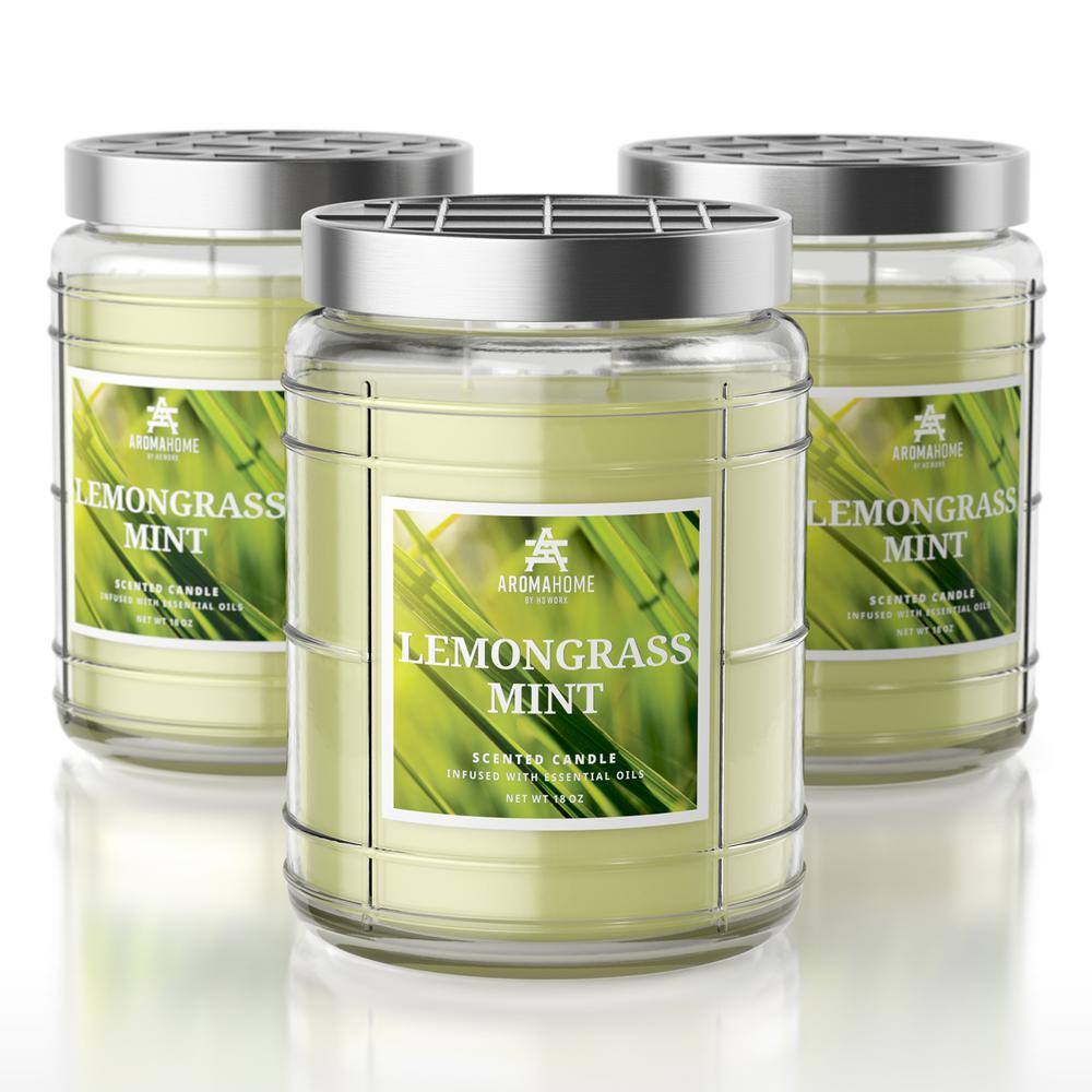 18 oz. Lemongrass Mint Scented Candle Jar (3-Pack)