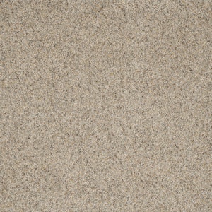 Bradmore I - Path - Beige 45 oz. SD Polyester Texture Installed Carpet