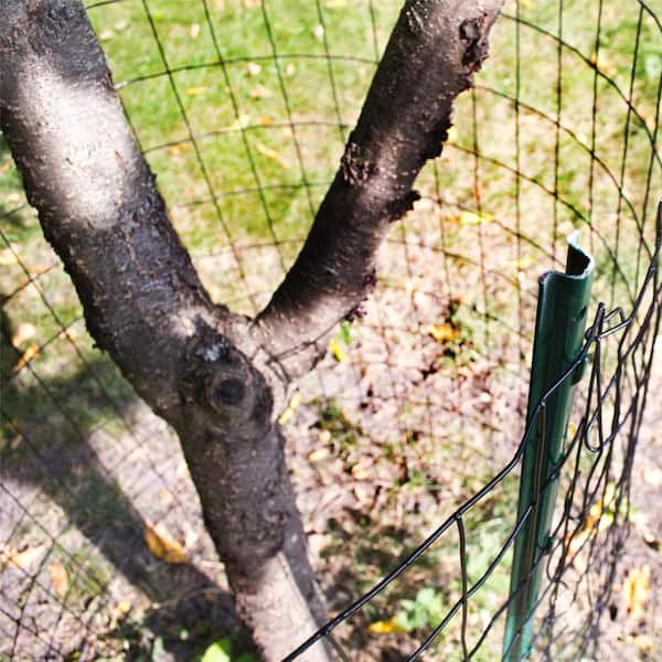 Everbilt 2.3 ft. x 50 ft. Galvanized Steel Garden Welded Wire Fence  308371EB - The Home Depot