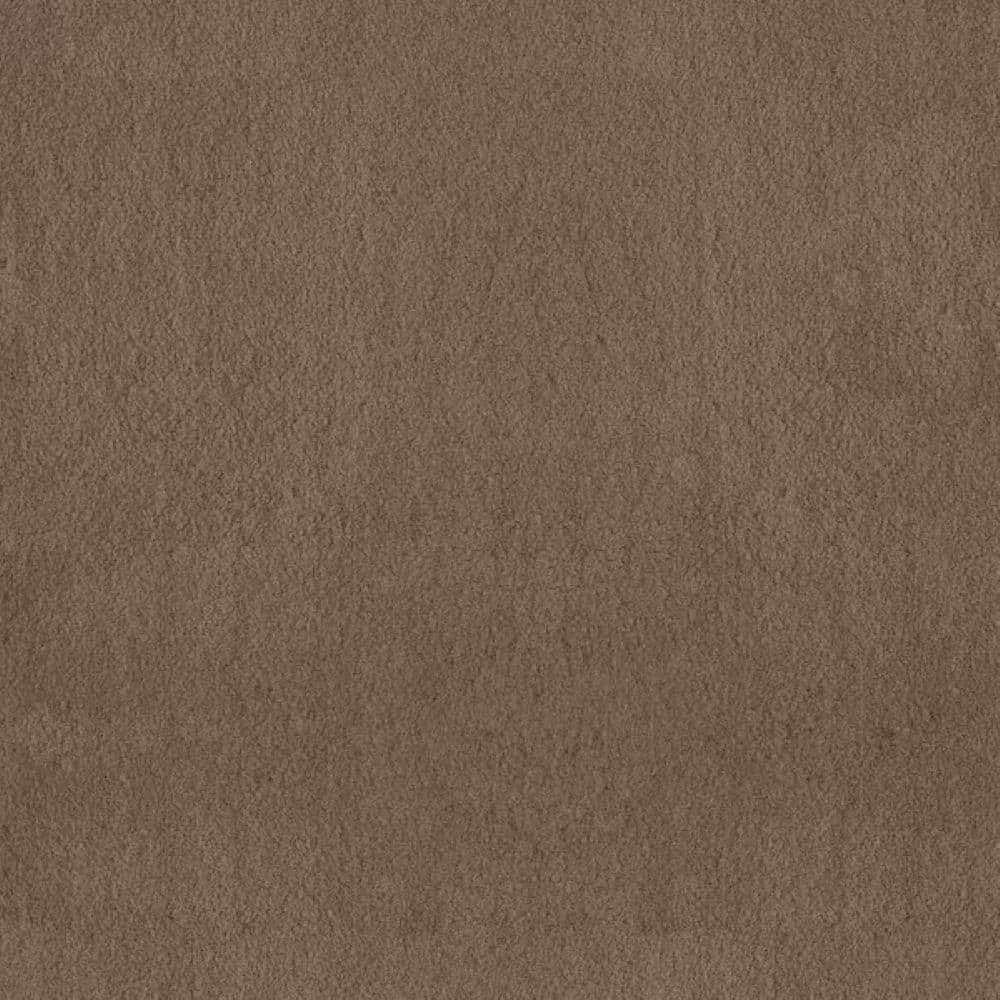 8 in. x 8 in. Texture Carpet Sample-Dreamy Daze I-Color Old Bark price history on PriceWatchPro