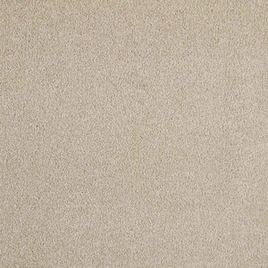 Phenomenal II  - Twine - Beige 62.7 oz. Triexta Texture Installed Carpet