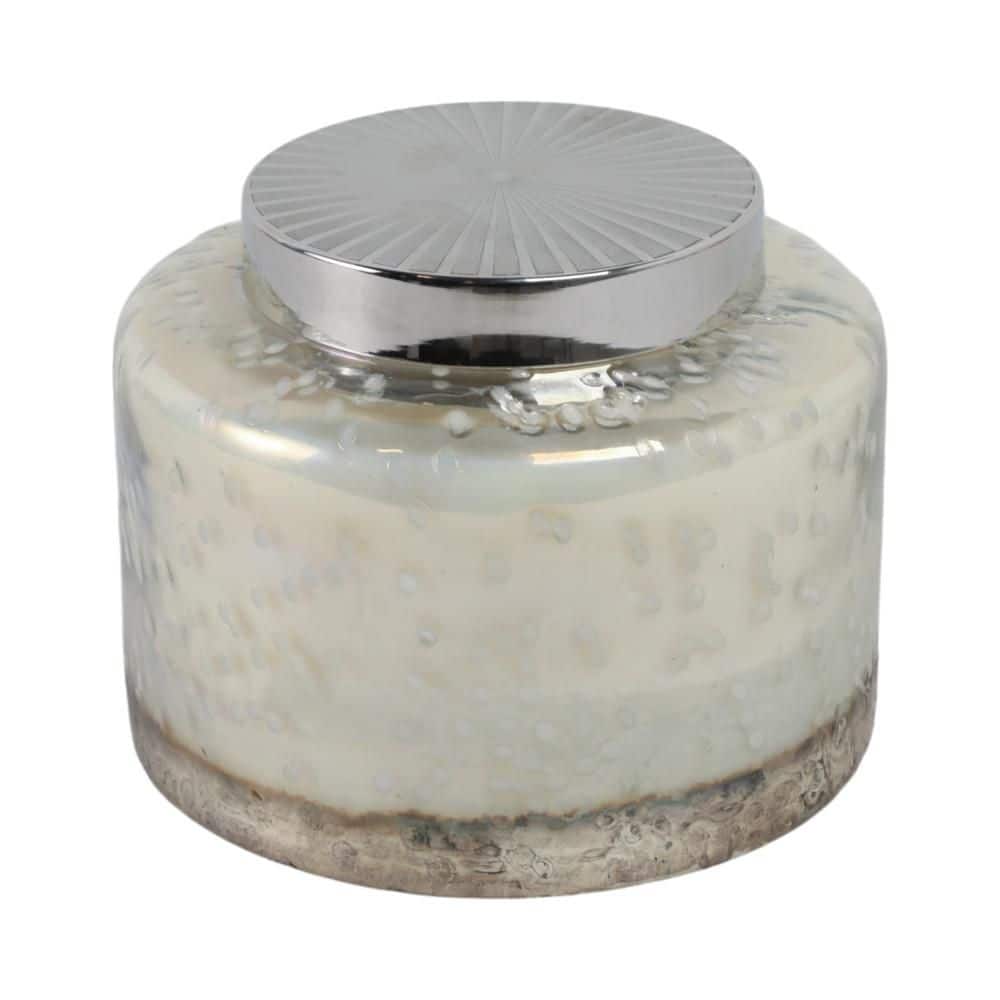 Liv & Skye 7 in. x 6 in. Clear Lavender Speckle Lidded Glass