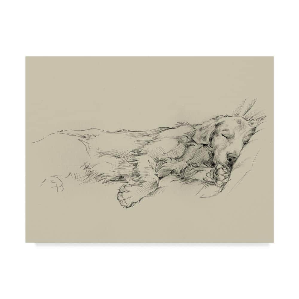 Trademark Fine Art Dog Days Iii by Ethan Harper Floater Frame Animal ...