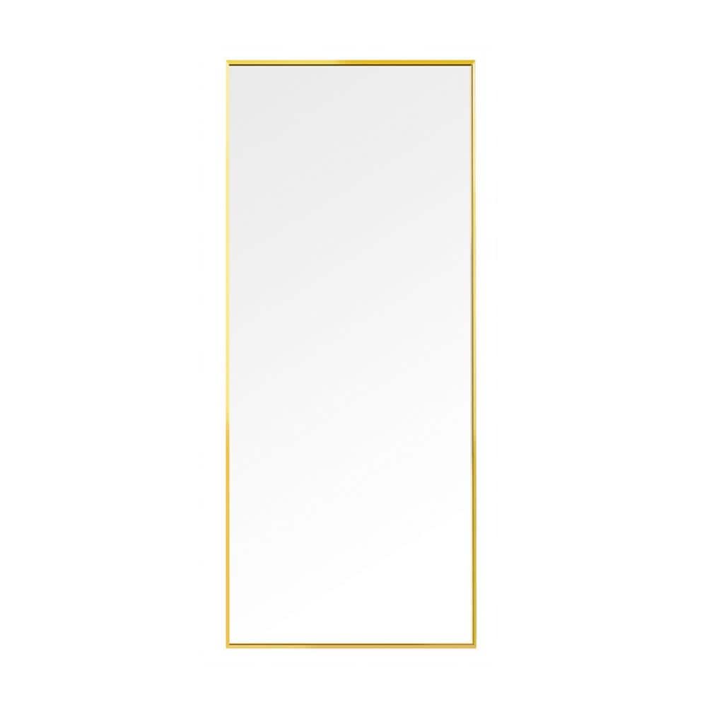 15.7 in. x 59 in. Modern Fashion Rectangle Gold Aluminum Framed Floor Decor