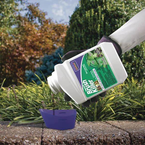 Bonide Poison Ivy and Brush Killer BK-32, 16 oz Concentrate, Safe for Lawn,  Kills Poison Ivy, Poison Oak and Weeds 330 - The Home Depot