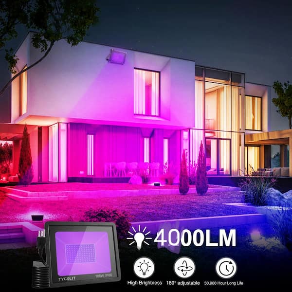 ZHMA 100W Black Light,IP66 Waterproof ,for Indoor and Outdoor