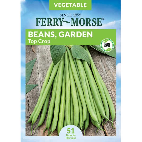 Ferry-Morse Bean Top Crop Fruit Seeds