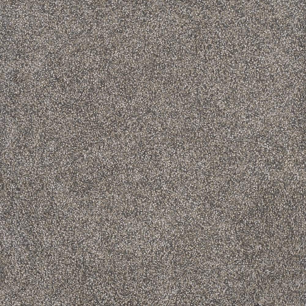 8 in. x 8 in. Texture Carpet Sample - Topaz II  - Color Elkridge price history on PriceWatchPro