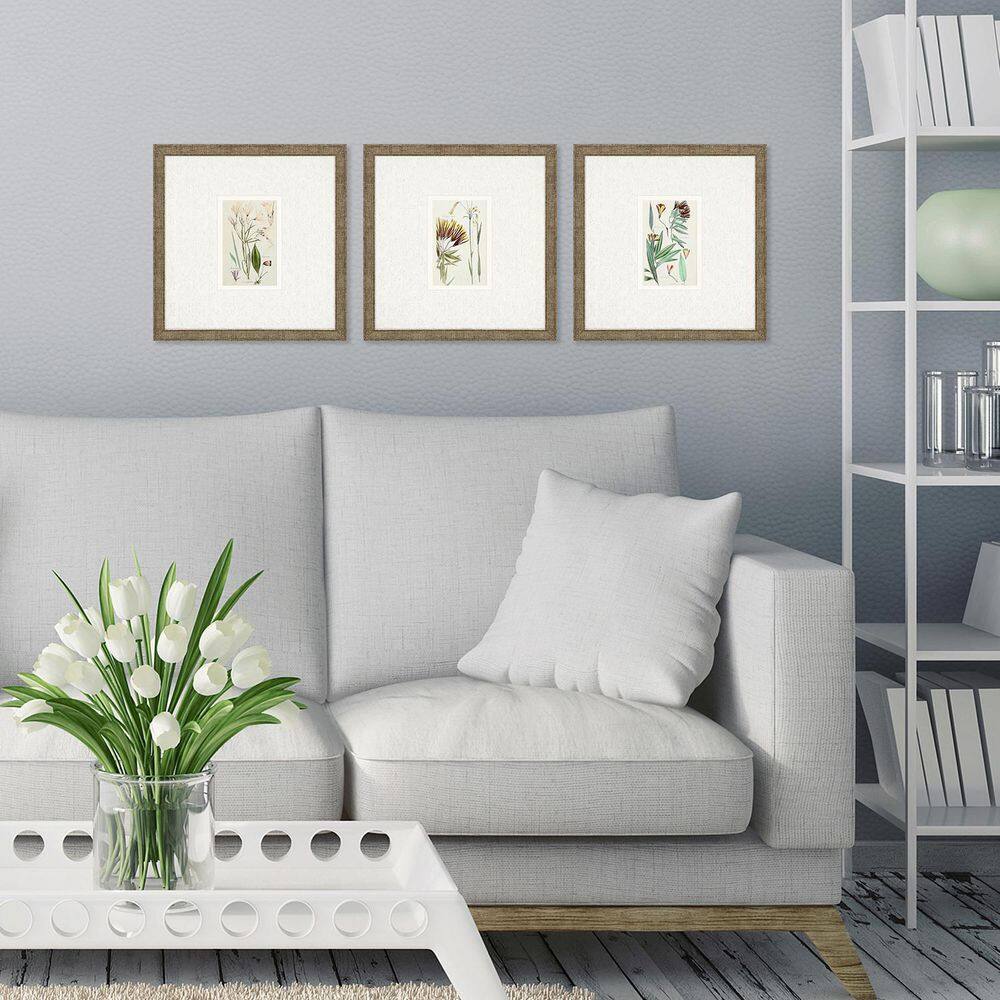Paragon Antique Botanical by Vision Studio 3 Piece Framed Giclee Nature ...