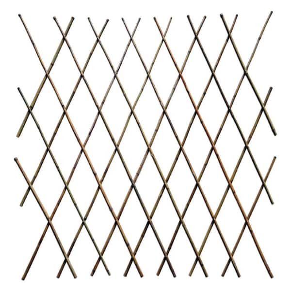 48 in. H Expandable Bamboo Poles Trellis