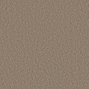 Blissful I - Exuberant Beige - 45 oz. SD Polyester Texture Installed Carpet