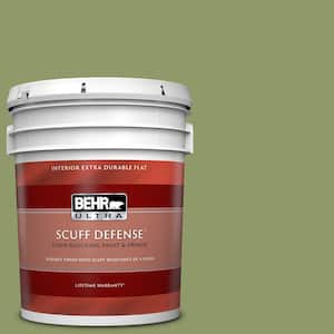 5 gal. Home Decorators Collection #HDC-SP14-2 Exotic Palm Extra-Durable Flat Interior Paint & Primer