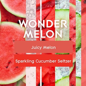 1.34 oz. Wonder Melon Scented Plug-In Air Freshener Refill (Count-2)