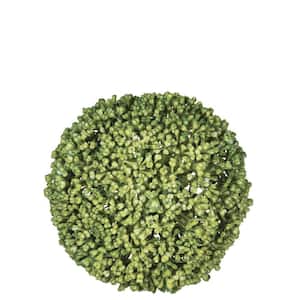 Artificial 4 in. Green Allium Orb