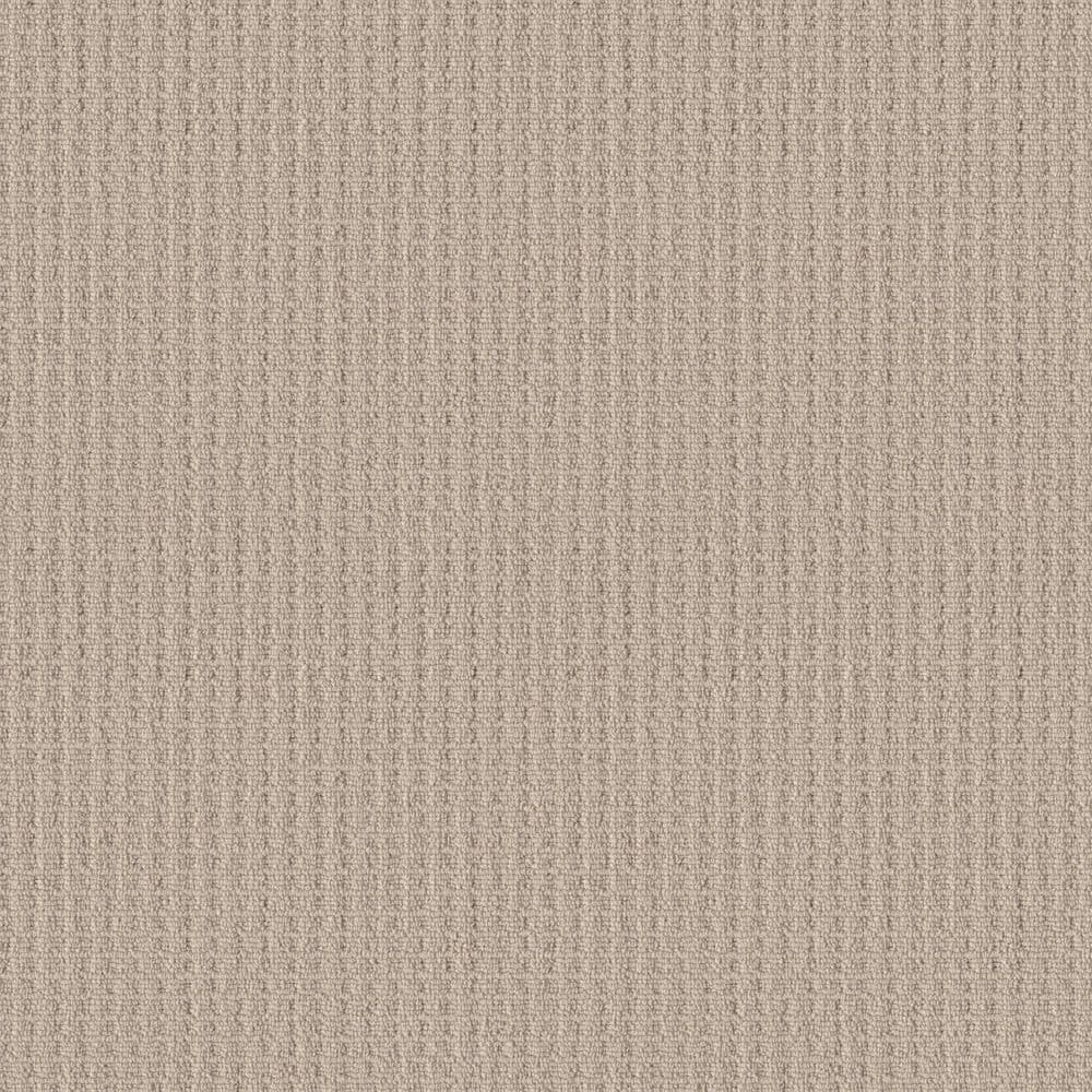 8 in. x 8 in. Loop Carpet Sample - Snug and Stylish - Color Ecru price history on PriceWatchPro