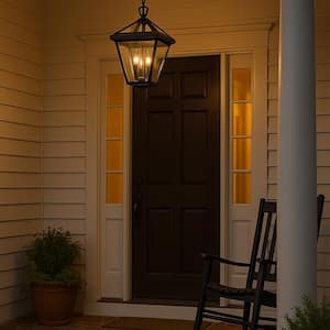 Alford Place Large Museum Black Outdoor Hanging Lantern