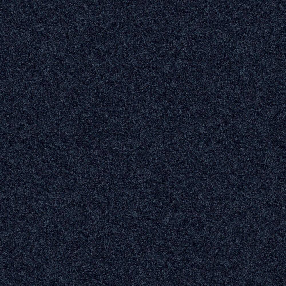 8 in. x 8 in. Texture Carpet Sample - Cottage Comforts - Color Ships Harbor price history on PriceWatchPro