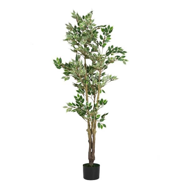 CHRISTOPHER KNIGHT HOME Shelby 5.75 ft. Indoor Green PE Artificial Ficus Tree With Black Plastic Pot