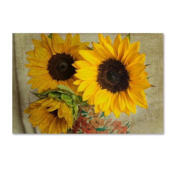 Trademark Fine Art Sunflowers I by Bob Rouse Hidden Frame Nature 22 in. x 32 in.