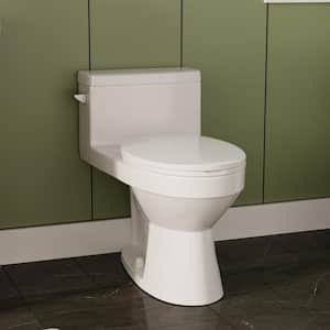 DeerValley 12 in. Rough in Size 1-Piece 1.28 GPF Single Flush Elongated Toilet in. White Seat Included