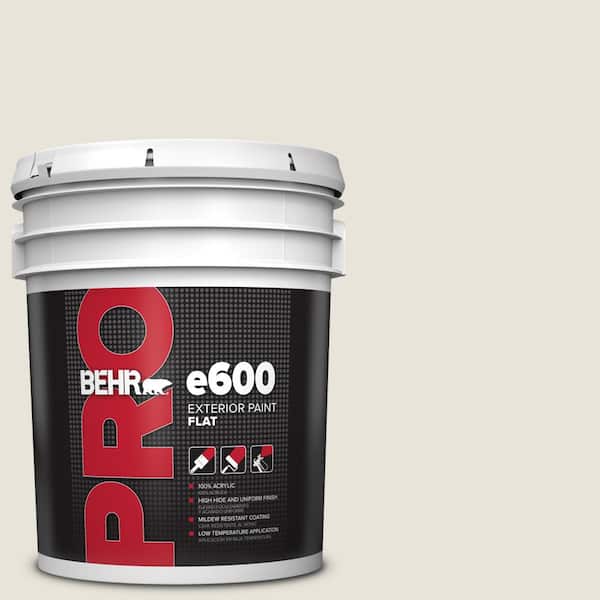 5 gal. #BWC-13 Smoky White Flat Exterior Paint