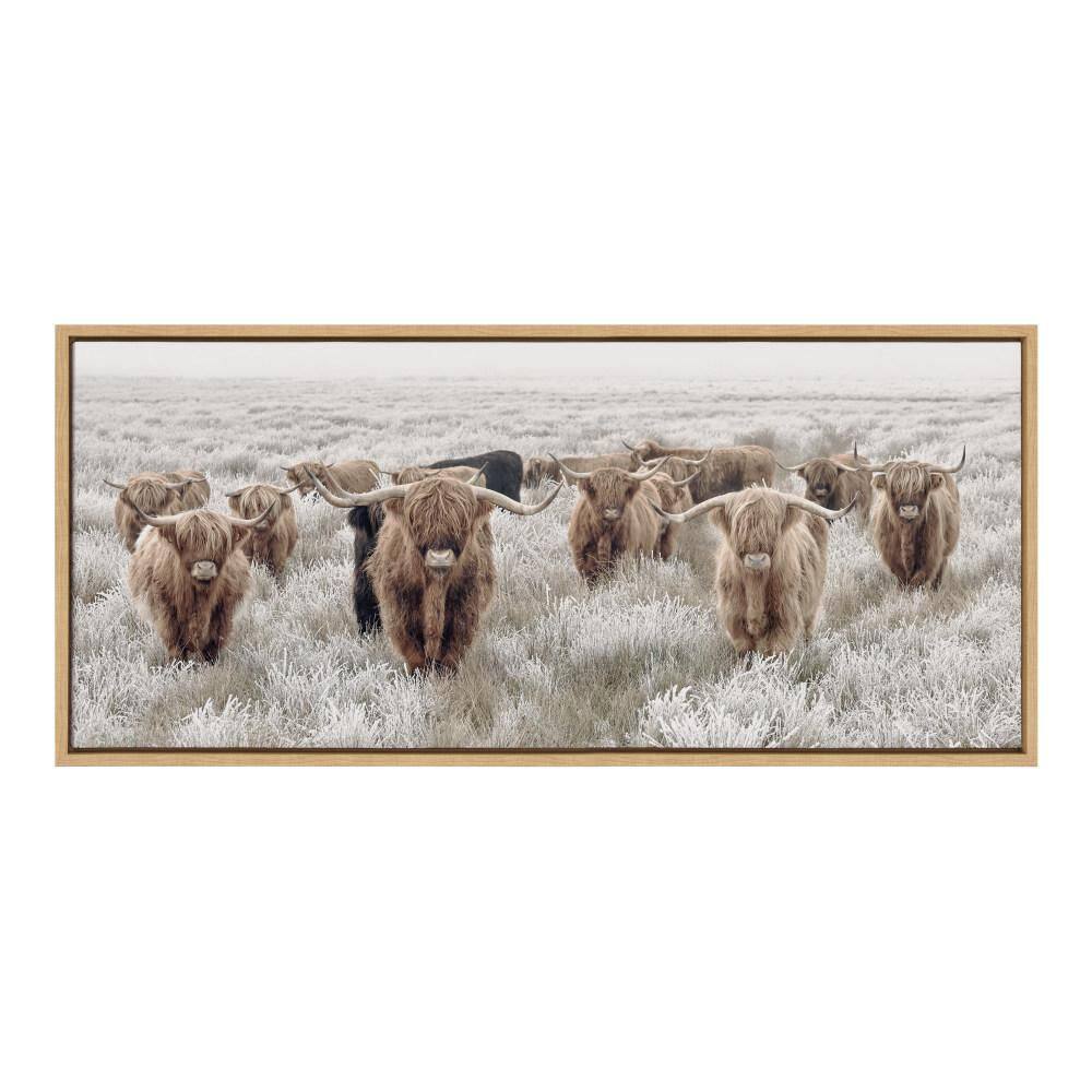 Herd of Highland Cows Natural Framed Canvas Print, 18x40
