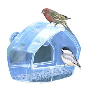 Clear Window Mount Bird Feeder - 1 Cup Capacity