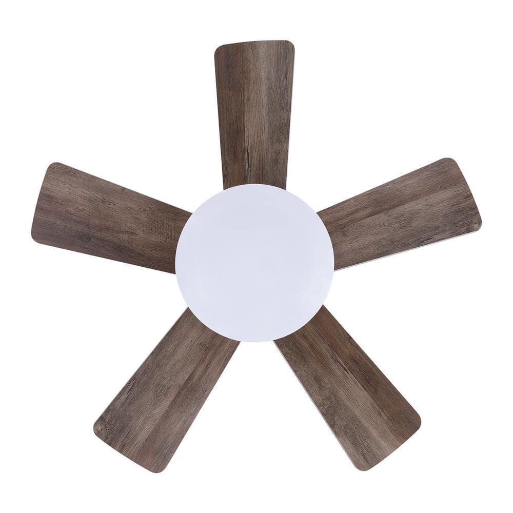 24" Brass Gold LED Flush Mount Ceiling Fan with Remote and Reversible Blades