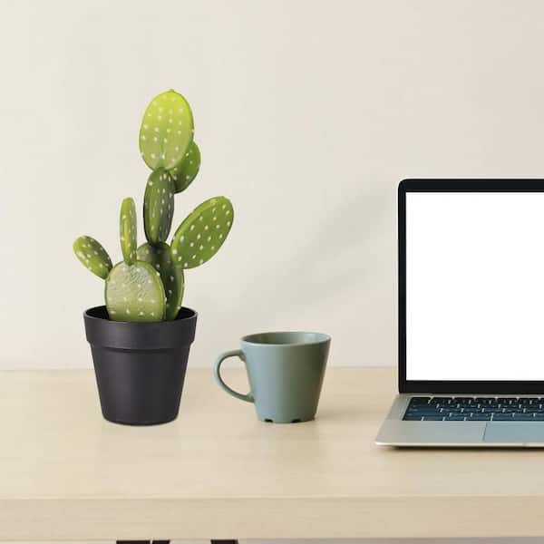 Oumilen 17 in. Green Small Artificial Potted Cactus for Home