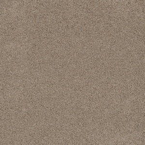 Jack Bay I - Resort - Beige 48 oz. SD Polyester Texture Installed Carpet