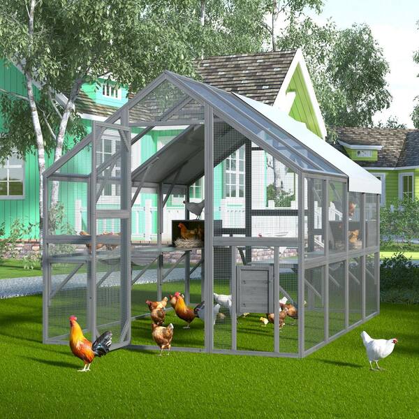 FUFU&GAGA Large Wooden Outdoor Chicken Coop, Cat Run Enclosure Walk in Cat  Catio Kitten Condo, Poultry Cage for Yard, Roof Cover Y-THD-150158-0506-ccc