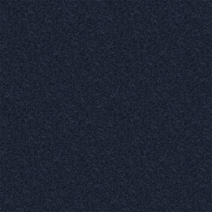 Watercolors I - Starry Sky - Blue 28.8 oz. Polyester Texture Installed Carpet