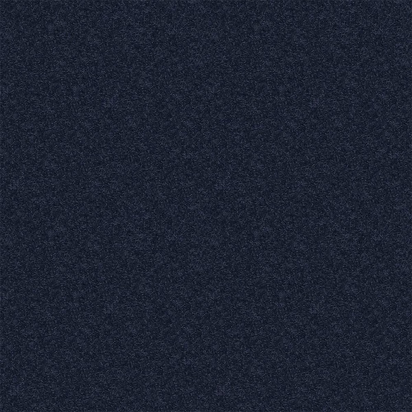 TrafficMaster Watercolors I - Starry Sky - Blue 28.8 oz. Polyester Texture Installed Carpet