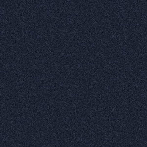 Watercolors II - Starry Sky - Blue 38.4 oz. Polyester Texture Installed Carpet