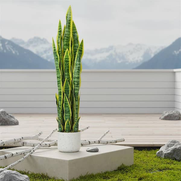 35.43 in. Artificial Snake Plant in Pot, Faux Sansevieria Mother