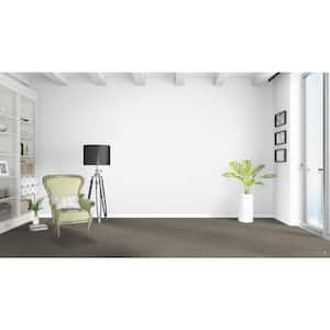 Whispers  - Reveal - Gray 38 oz. SD Polyester Texture Installed Carpet