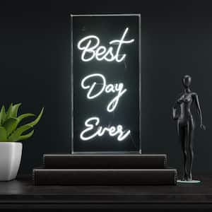 Best Day Ever 11.75 in. x 23.63 in. Contemporary Glam Acrylic Box USB Operated LED Neon Night Light, White